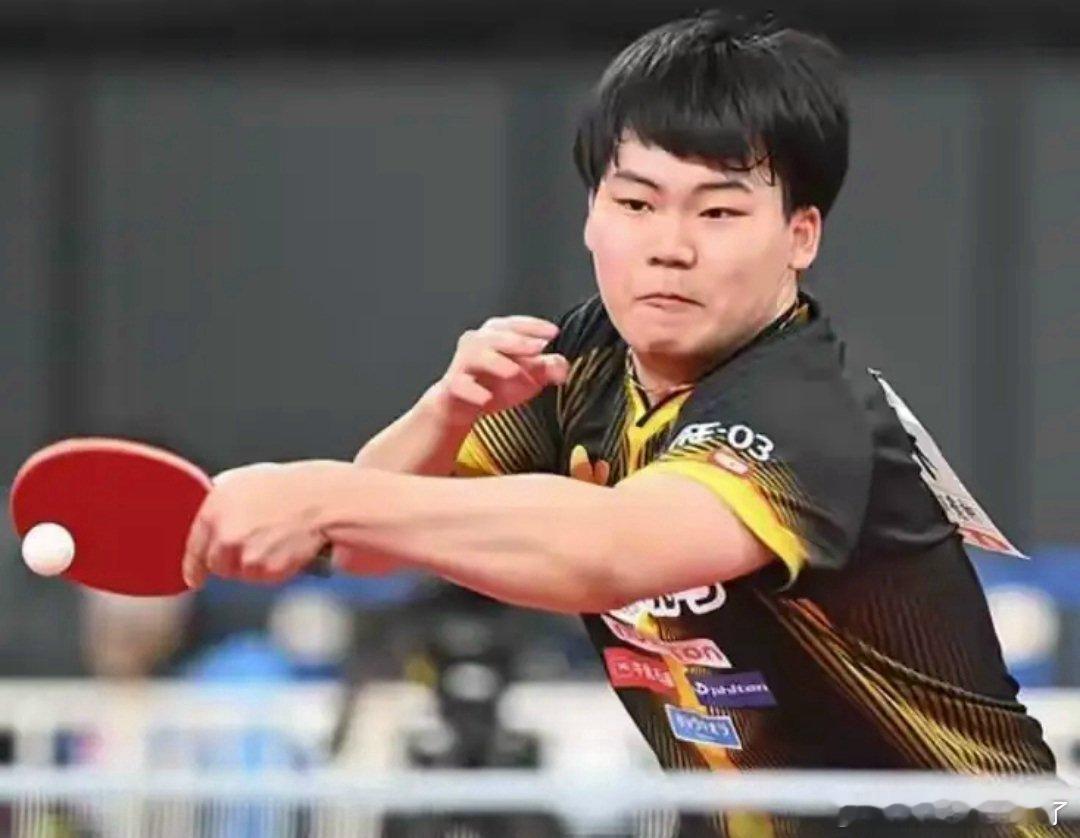 日本全锦赛爆信号：松岛力擒张本夺冠，成国乒男单新威胁乒乓球 日本男单整体实力强劲