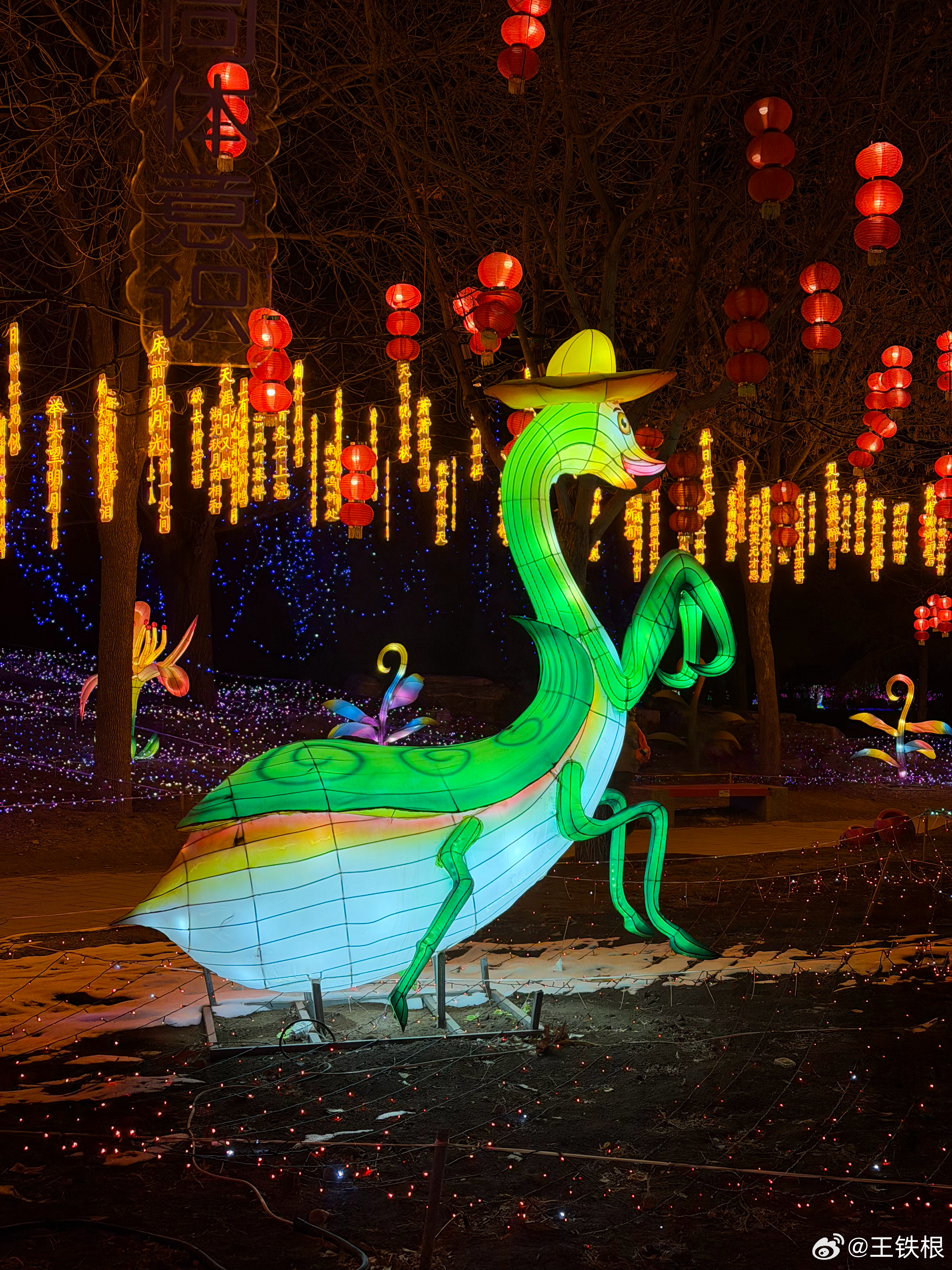 陪老婆看了一场奇形怪状的花灯