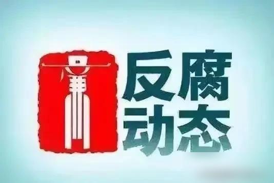 说实话，看到有的70后干部被查，心里挺不是滋味的，为什么这么说？

这批人大多年
