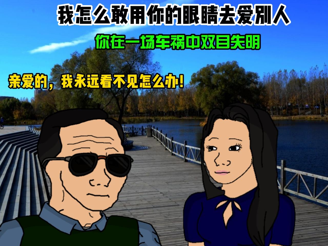 我怎么敢用你的眼睛去爱别人！眼角滑过的泪，是你的泪还是我的泪？纯爱