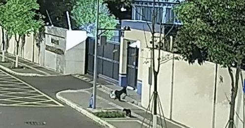 哭笑不得！6月16日，成都一民警加班到凌晨，忙得连晚饭都没吃，特意点了份汉堡套餐