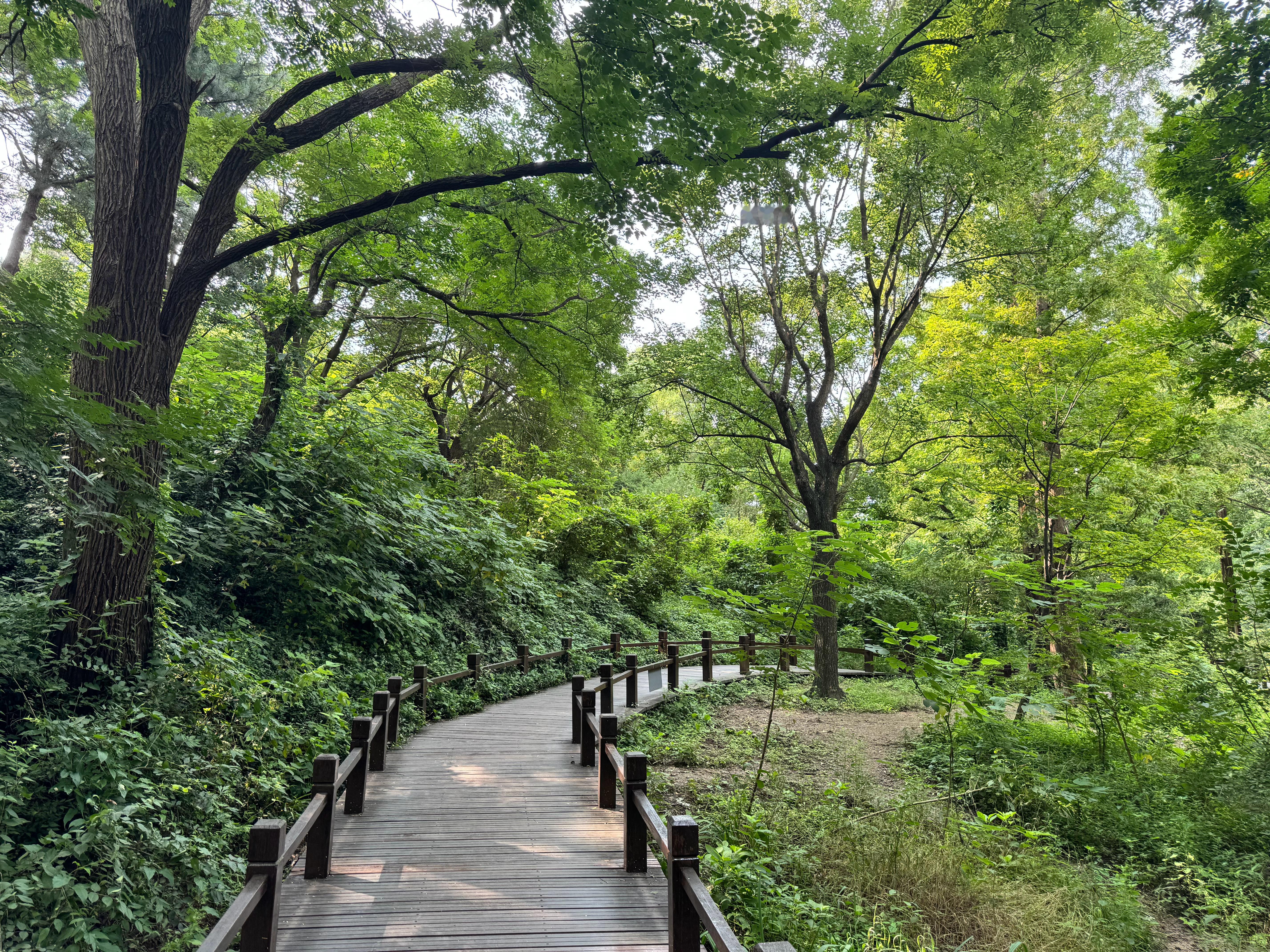 感受大自然🍃大自然 ​​​