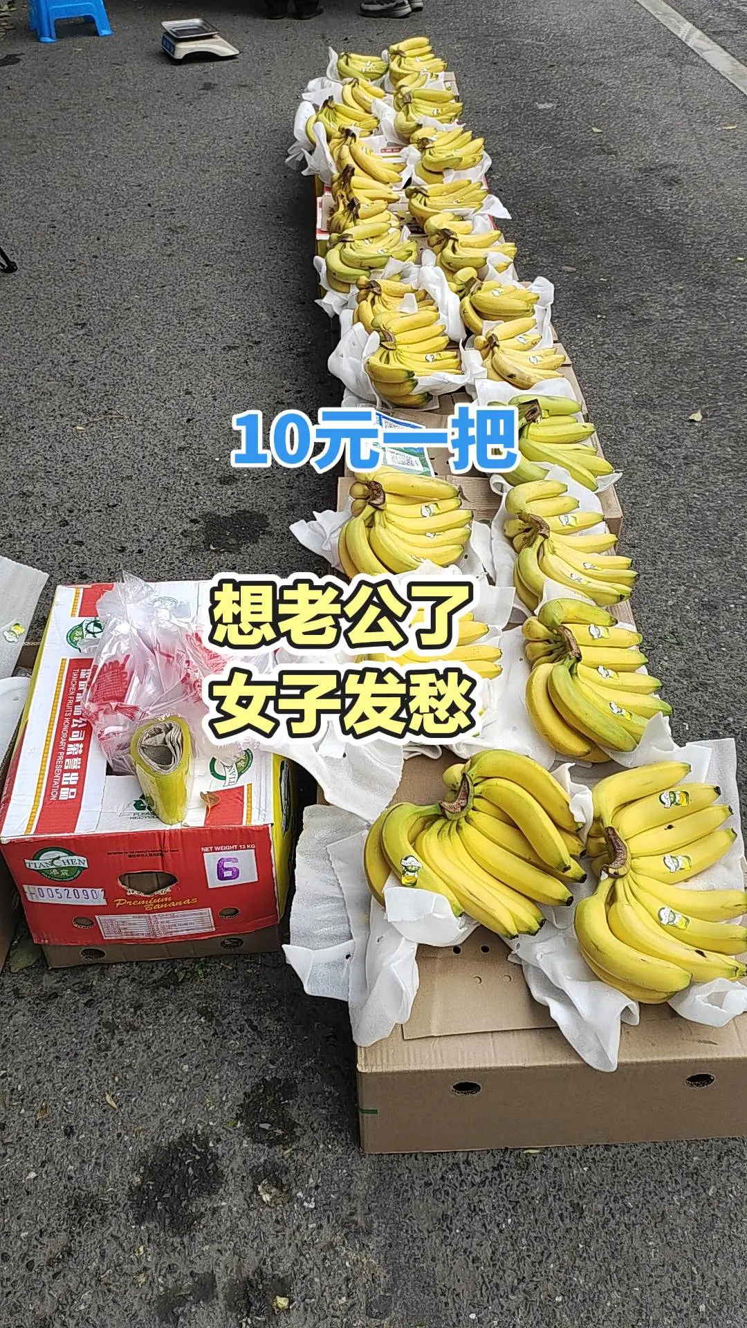 分享有趣的视频