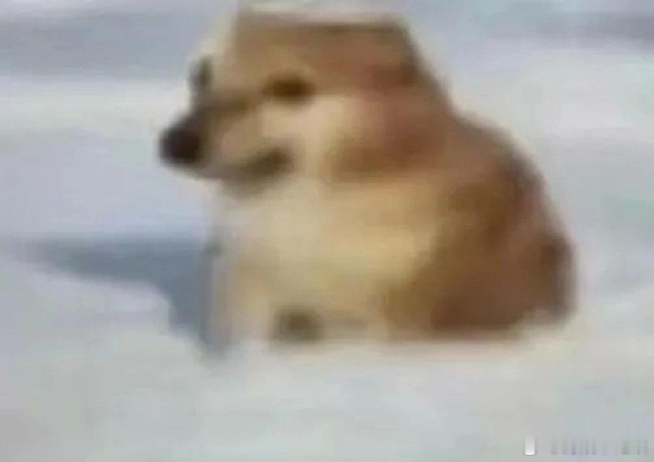 #邓亚萍说中国乒乓梯队建设从未断代#永远都在输送着新鲜的血液，让我们的中国乒乓球