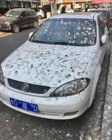 中午吃饭，看到路边一辆满是鸟屎的僵尸车，同事还调侃可以拿来套牌。

没想到马上就