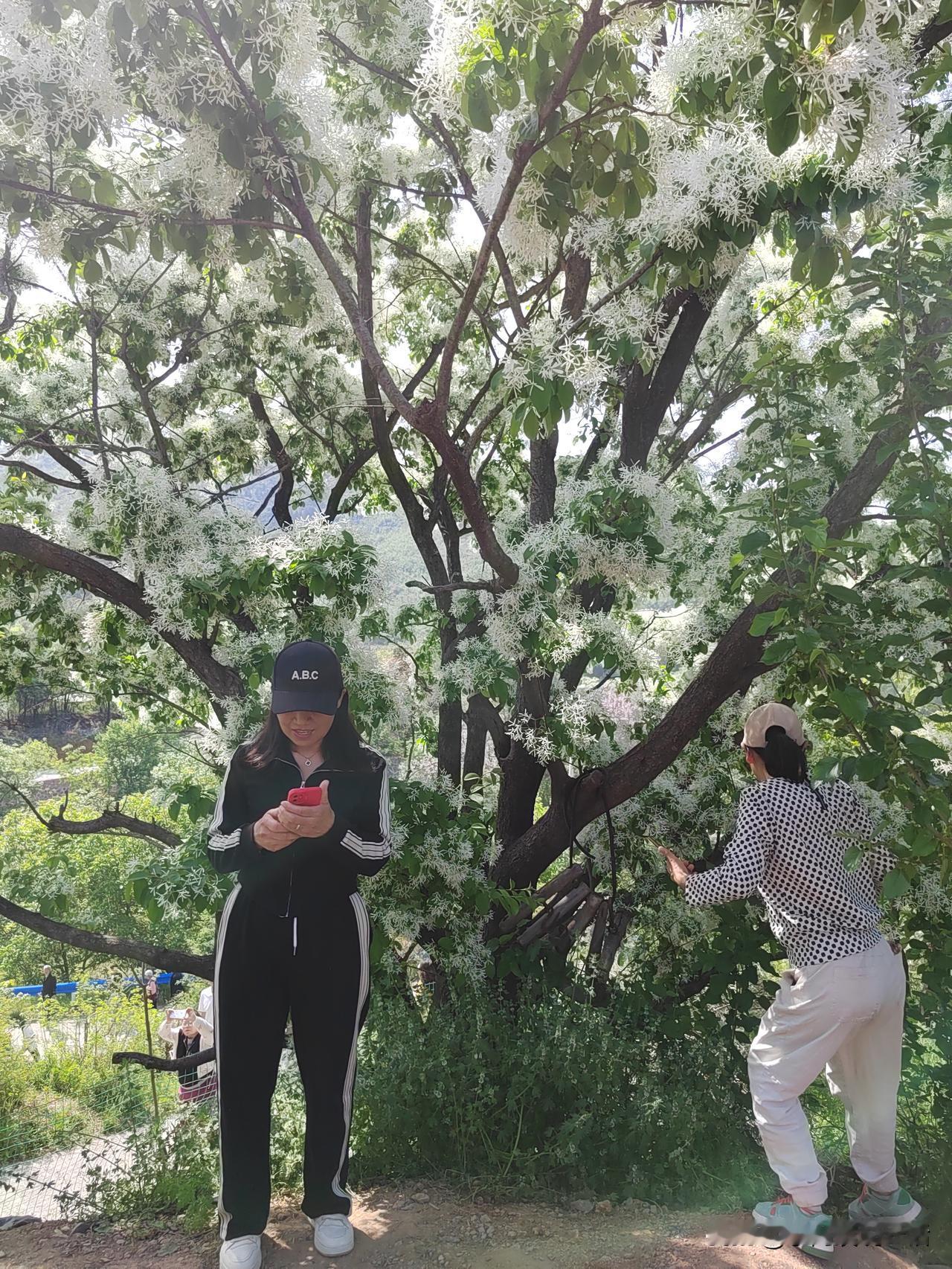 退休后，我却突然有了深深的危机感。
一是存不了钱了。
以前上班，一个月2000多