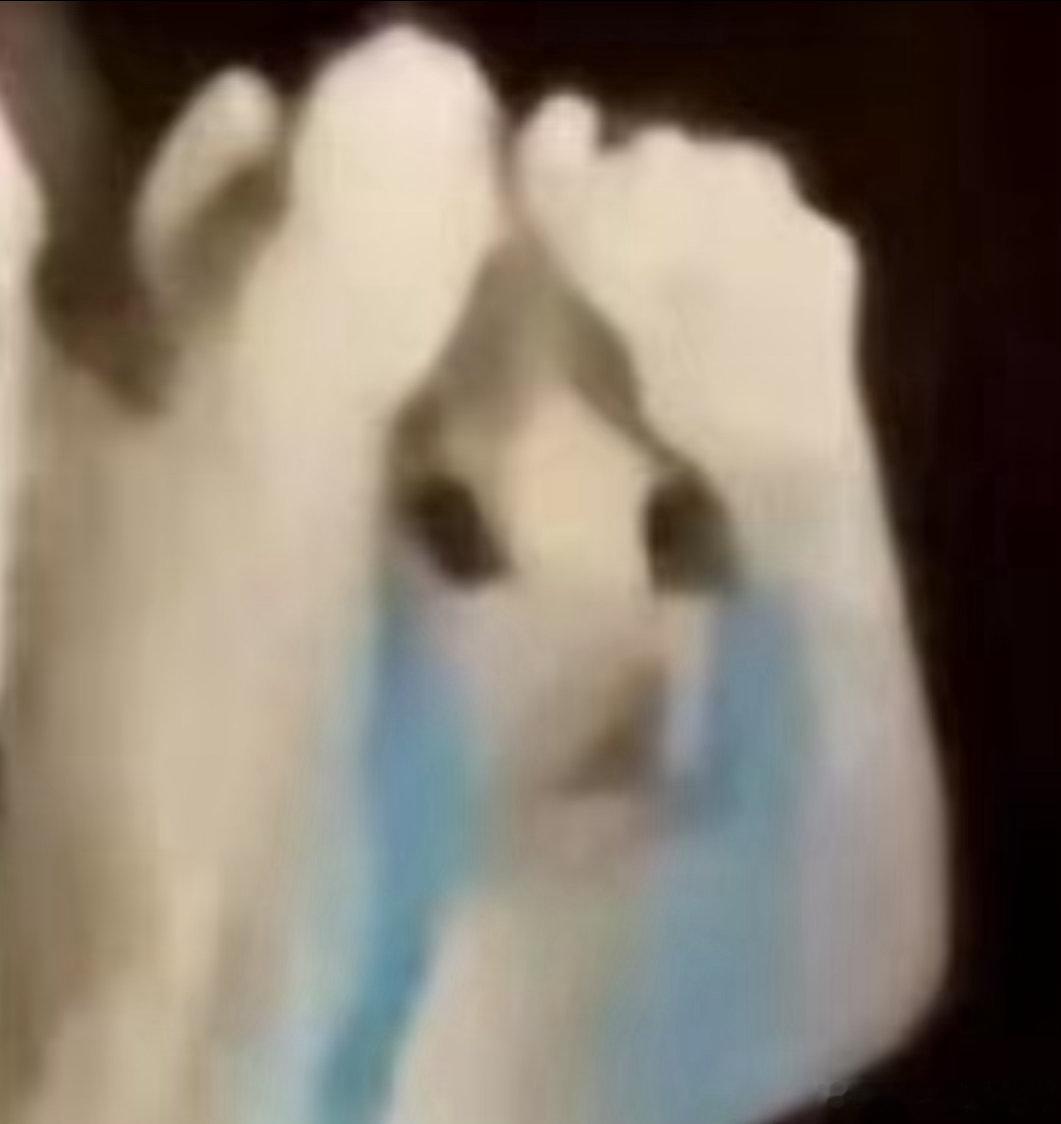 TT 