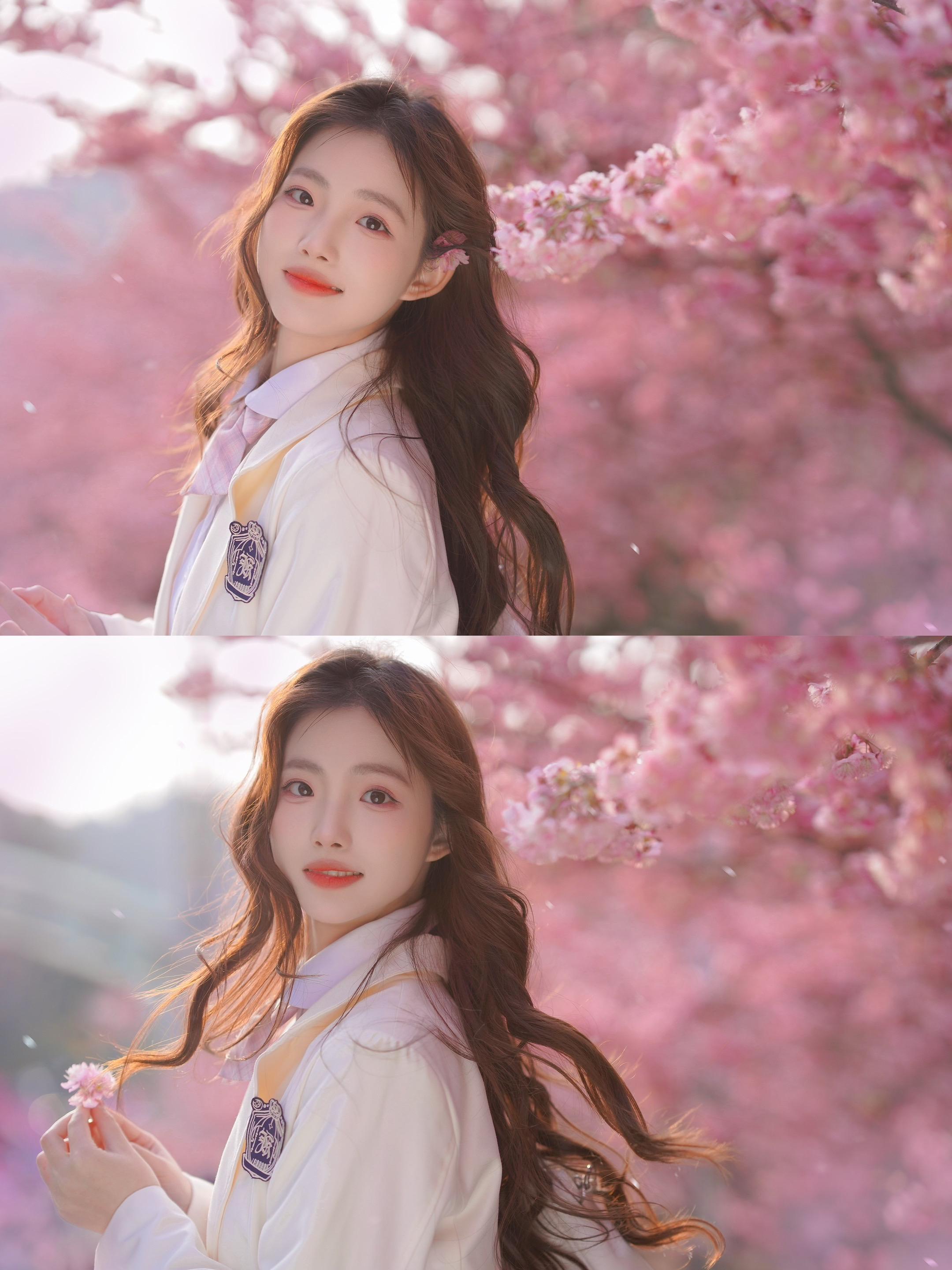 重庆南山植物园樱花开了，和春天撞个满怀～🌸