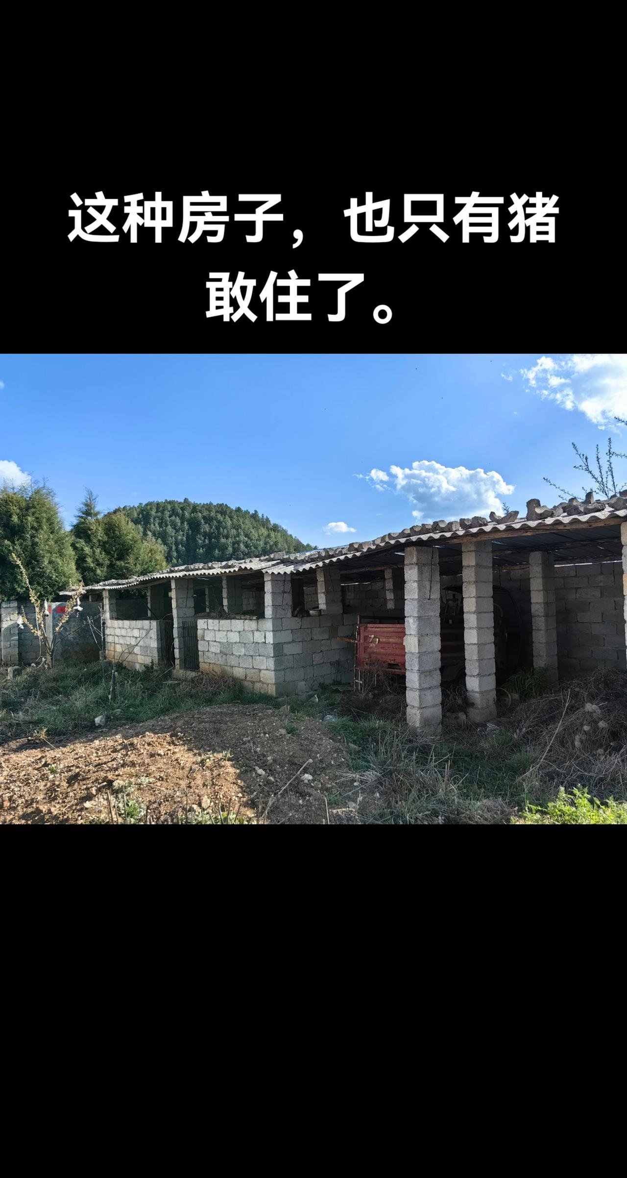 农村猪圈