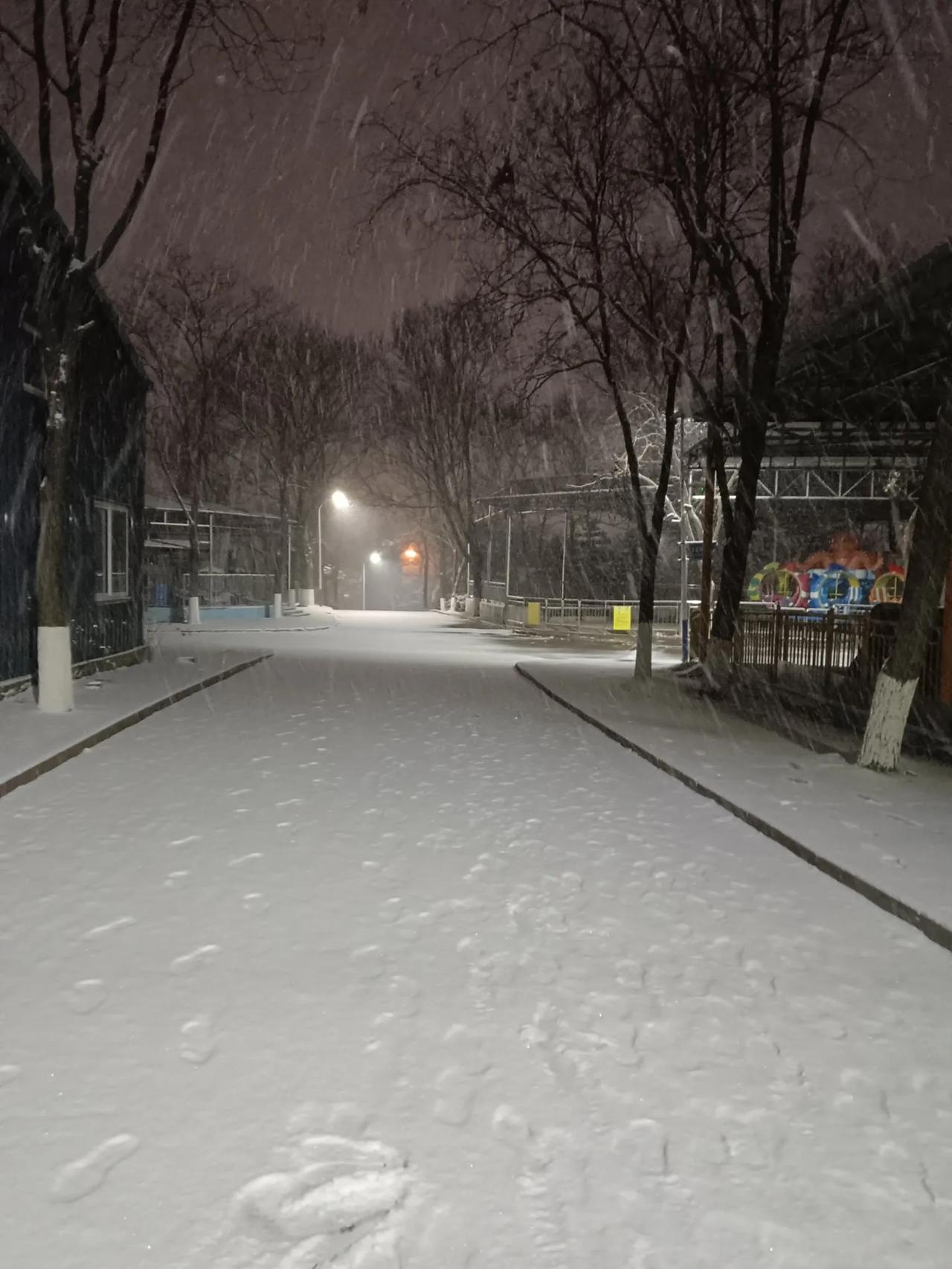 南方的朋友，到北方看雪的日子到了