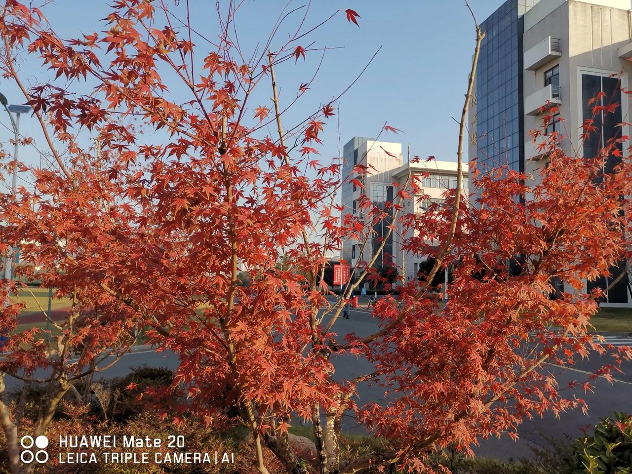 机器学习辅助高分子材料设计2


构建高质量的数据集是进行数据分析、性能预测和