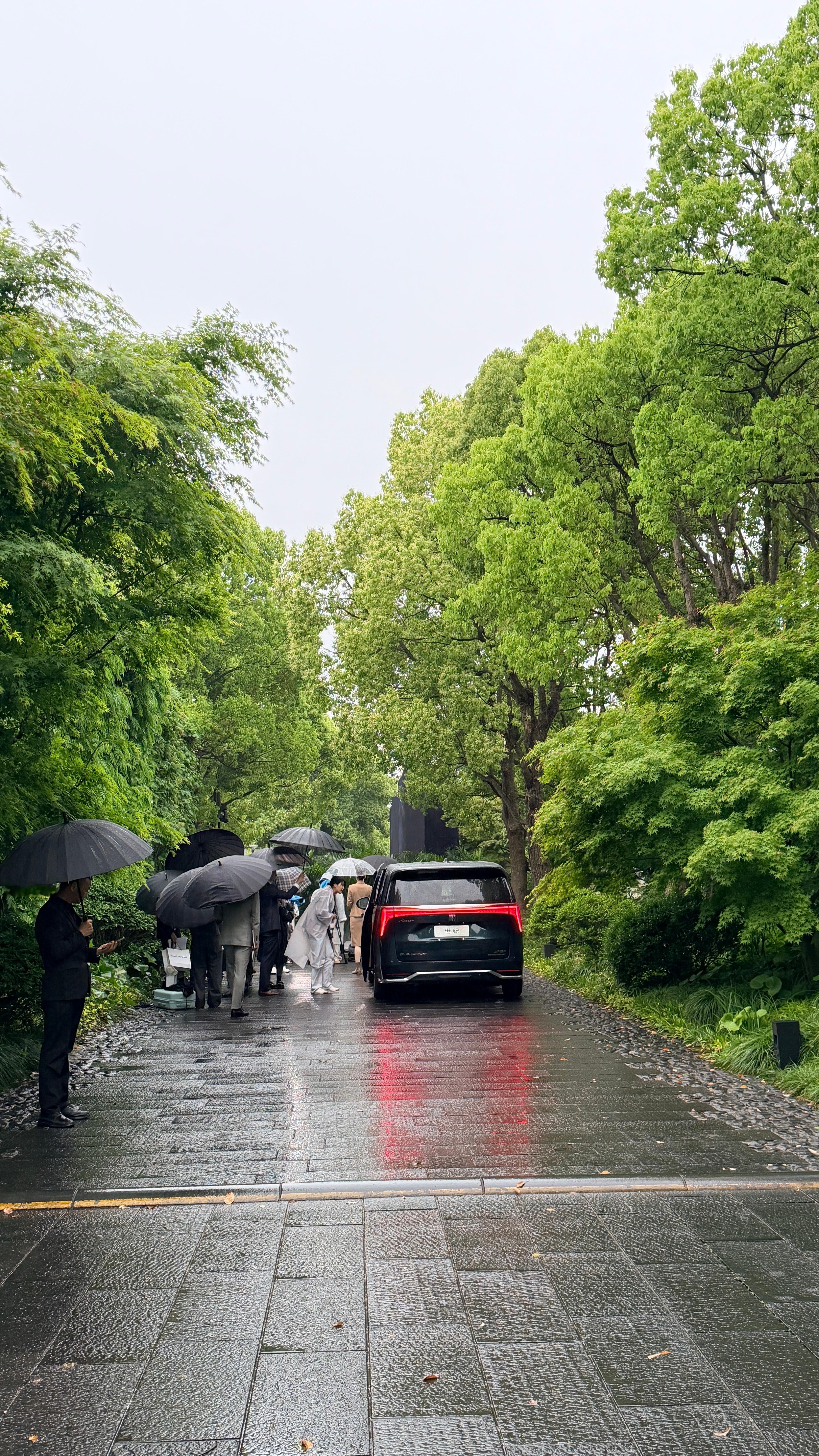 最近来上海一直下雨 润物细无声 上海·上海养云安缦酒店安缦馆