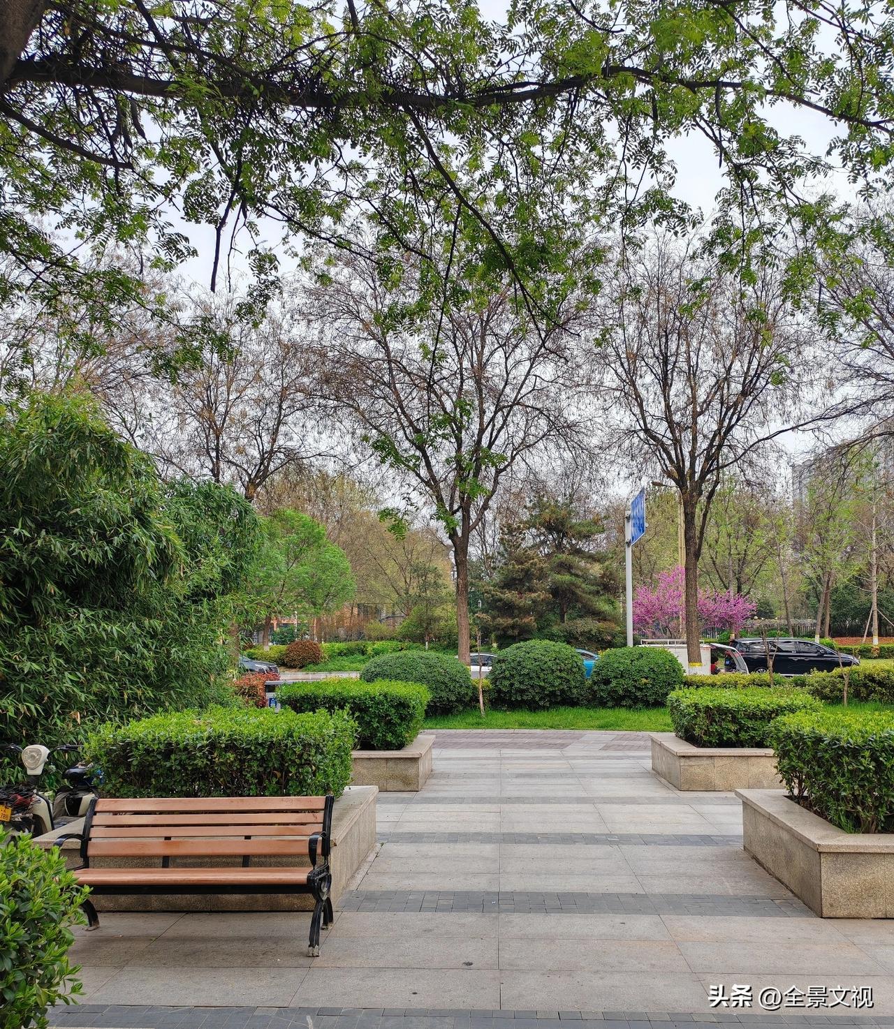 来西安几个月了，非常想吃天水浆水面。
       明天要回老家天水，今天晚上把