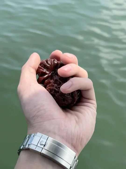 嗯，休个假