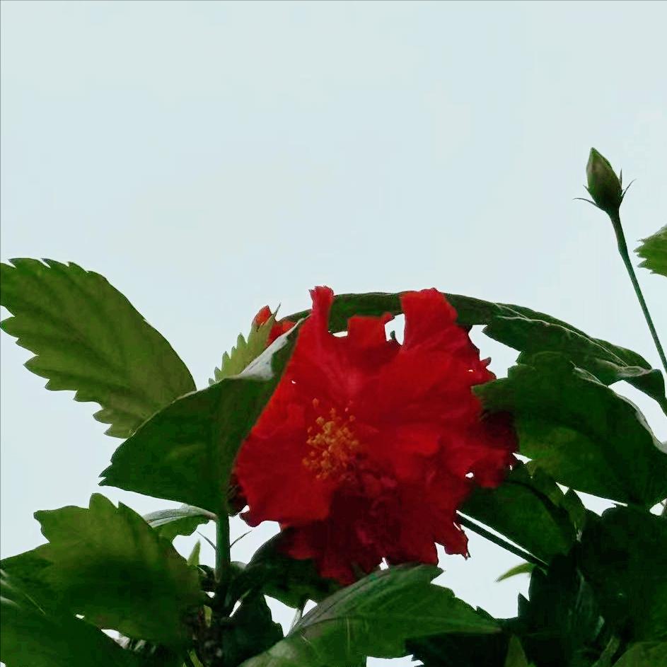 70后的经济学女博士常红军履新
 
4月2日，该同志履新。
 
该同志今年56岁