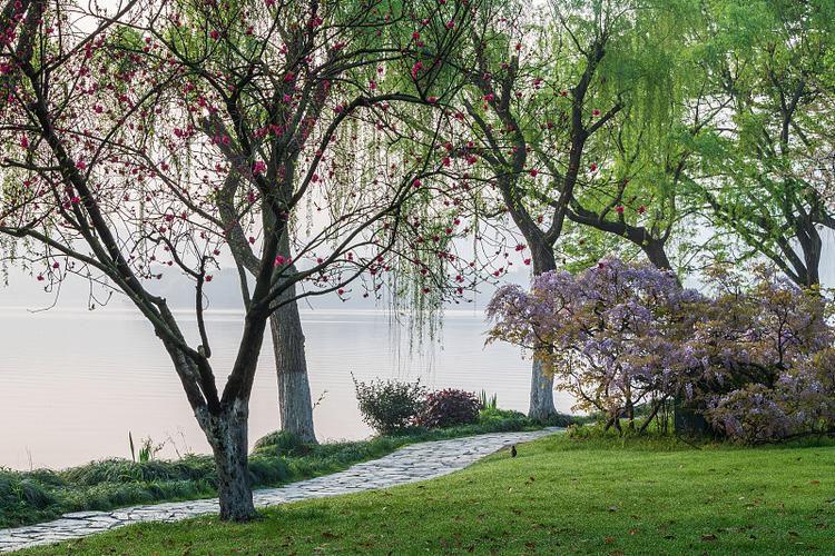 清明踏青，踏的不仅是青草，更是一种心境。它让你从都市的格子间里抽身，从数字的洪流