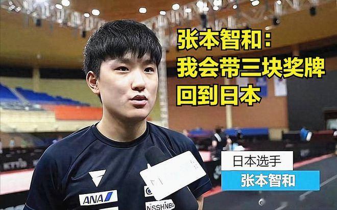 #张本智和说庆祝动作是致敬樊振东# 张本智和在巴黎奥运会1/4决赛被樊振东逆转击