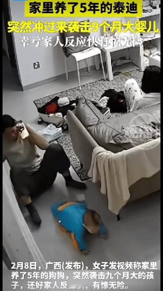 太可怕了！广西，一女子正带着宝宝在家里玩耍，谁知，家养的小狗突然冲了过来要袭击宝