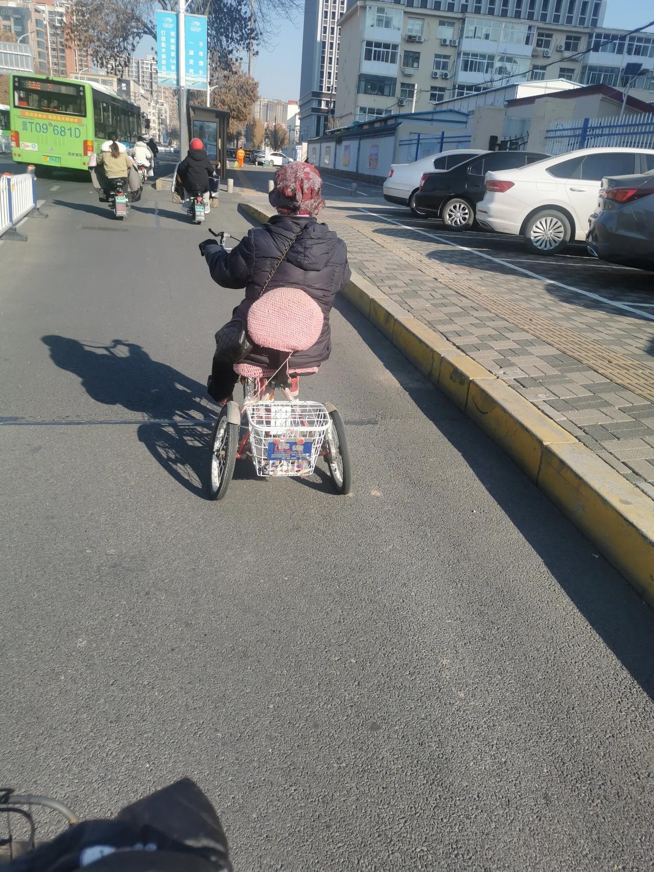 这位奶奶跟我说，我岁数大了，不会骑电动车、电动三轮什么的，骑这个小车子正好，不像