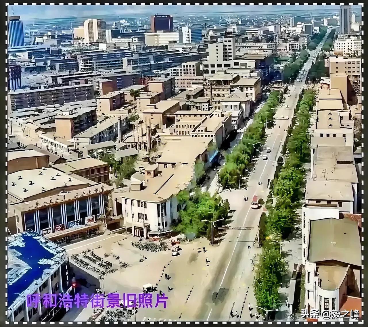 呼和浩特中山西路街景旧照片：一张旧照片一份情怀，一张难得一见旧照片中看看当年的人