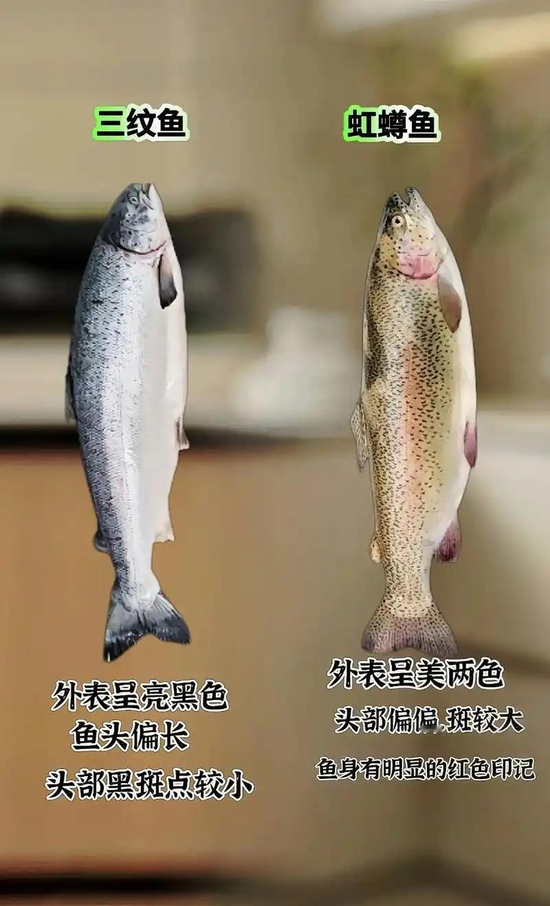 刚才看到一篇文章：说是一女子去吃高价“三文鱼自助”，结果发现口感不对，最后询问才