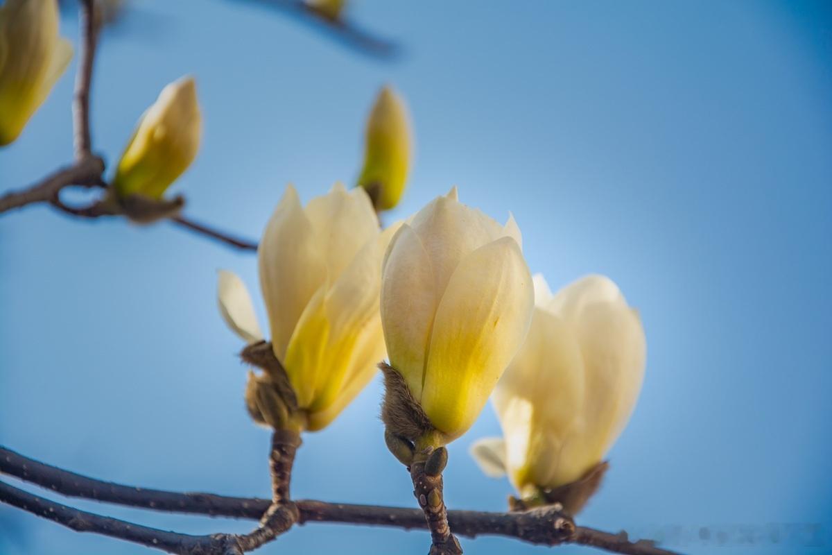 【公司章程核心设计｜“同股不同权”如何合法实现？】股东会表决，是否只能“按出资比