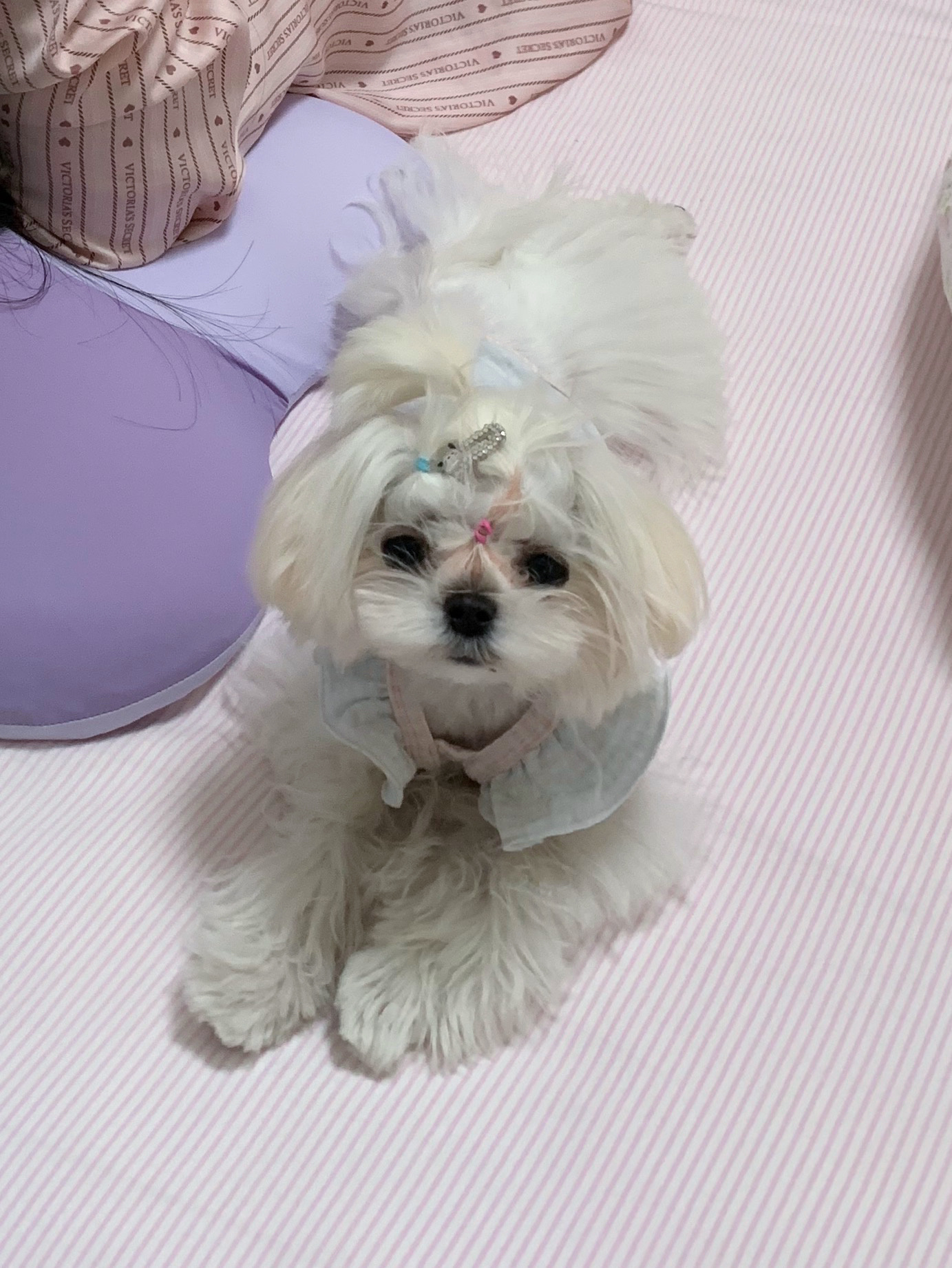 我妈现在pyq全是木木 ​​​