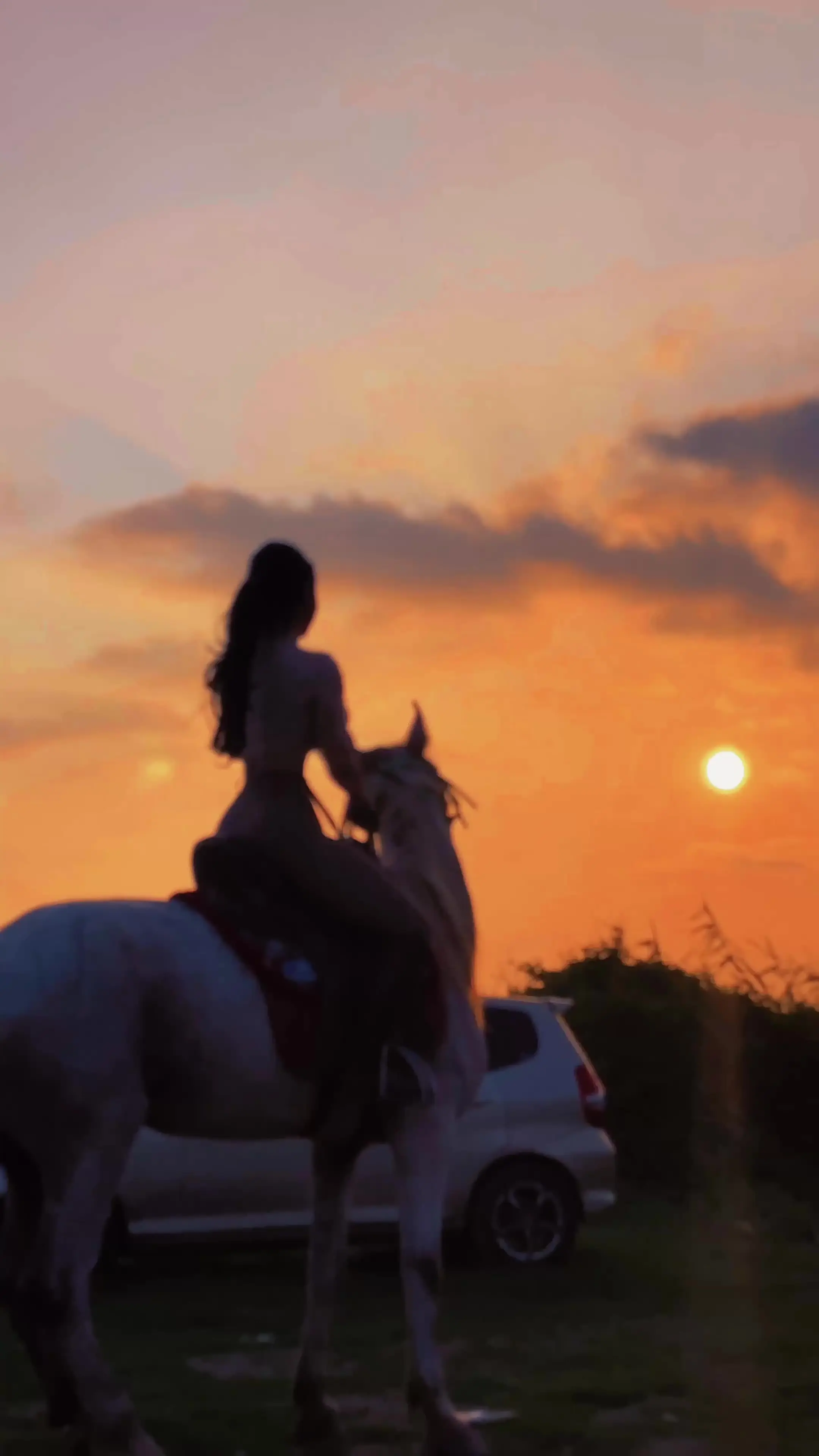 天地一指也，万物一马也