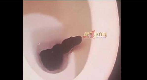 太吓人！26楼马桶里钻出1.5米长蛇，为什么蛇会爬进马桶？

6月8日报道，南宁