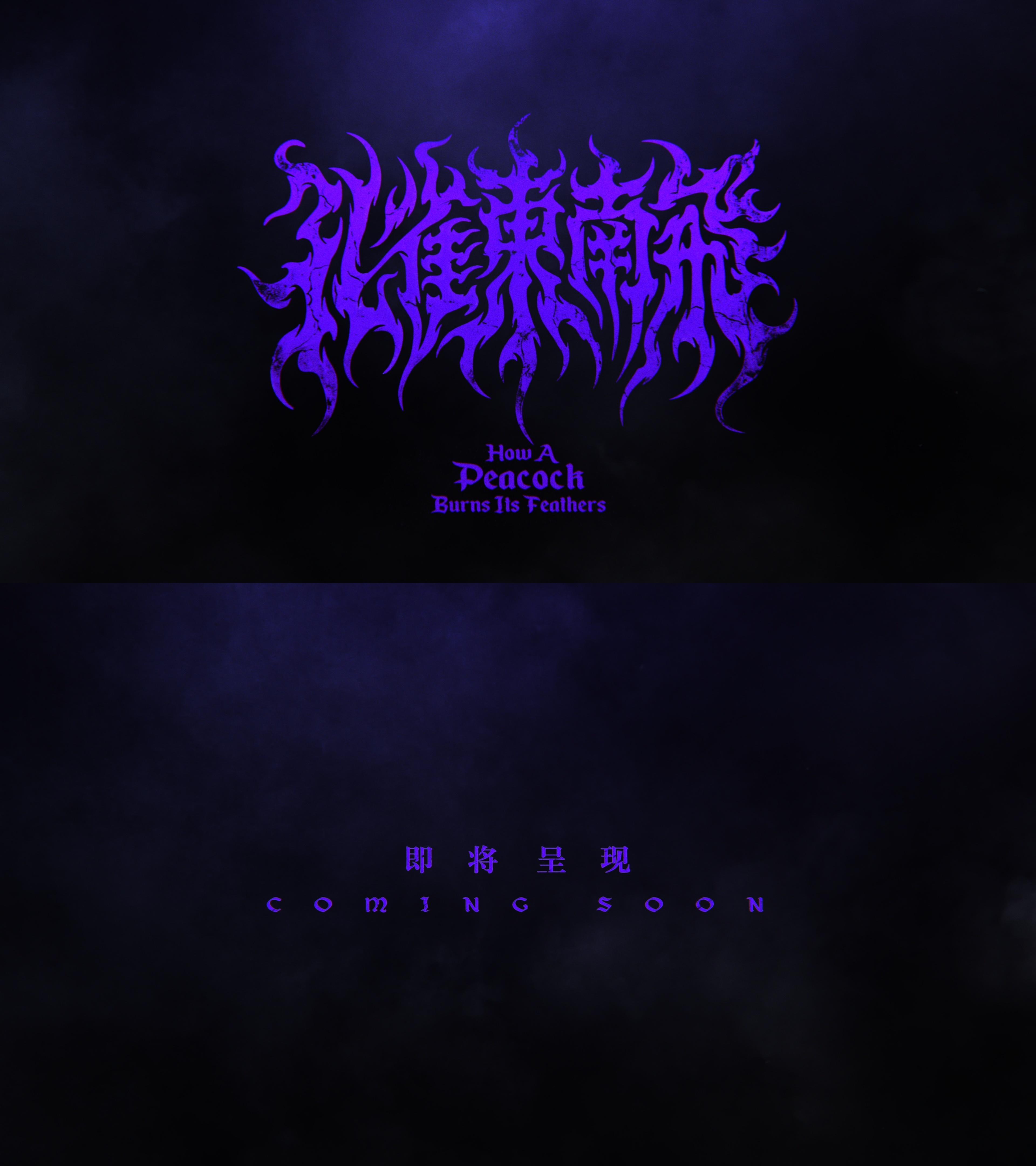快看孔雀东南飞的片名logo！漫长的季节导演辛爽第一次拍古装，光看logo就感觉