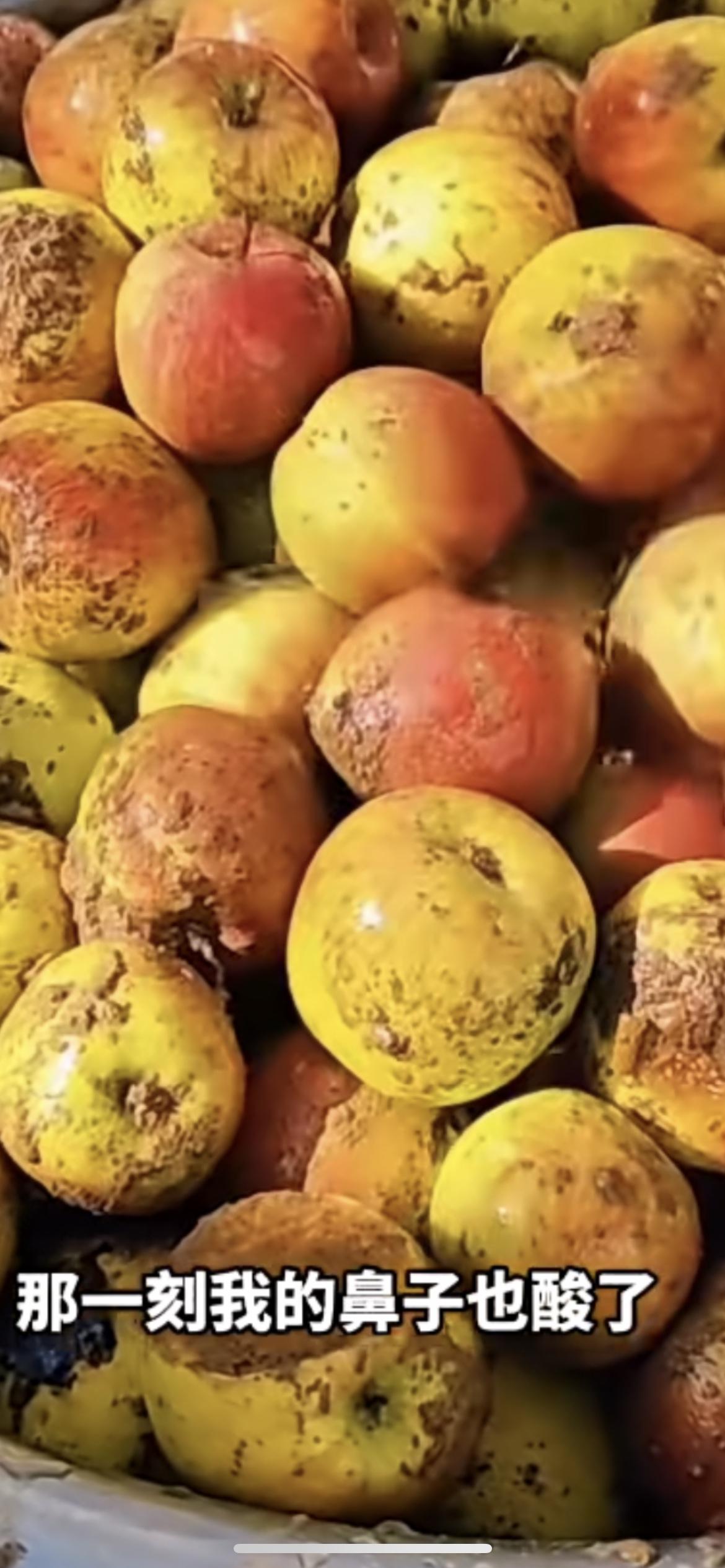 3月1日甘肃，来自妈妈的爱，把苹果都埋在土里 等着孩子回来吃“不管我们长多大走多