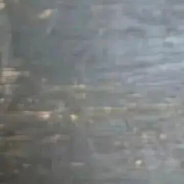 0700《听弹琴》刘长卿泠泠七弦上，静听松月寒。古调虽自爱，今人多不弹。 