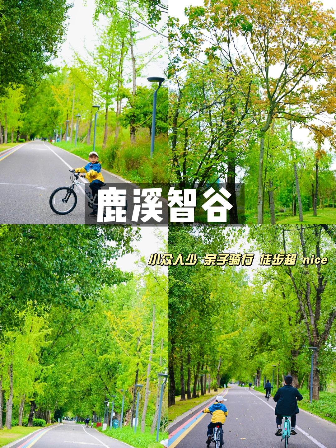 成都骑行天花板‼️秋天遛娃直接冲这条绿道