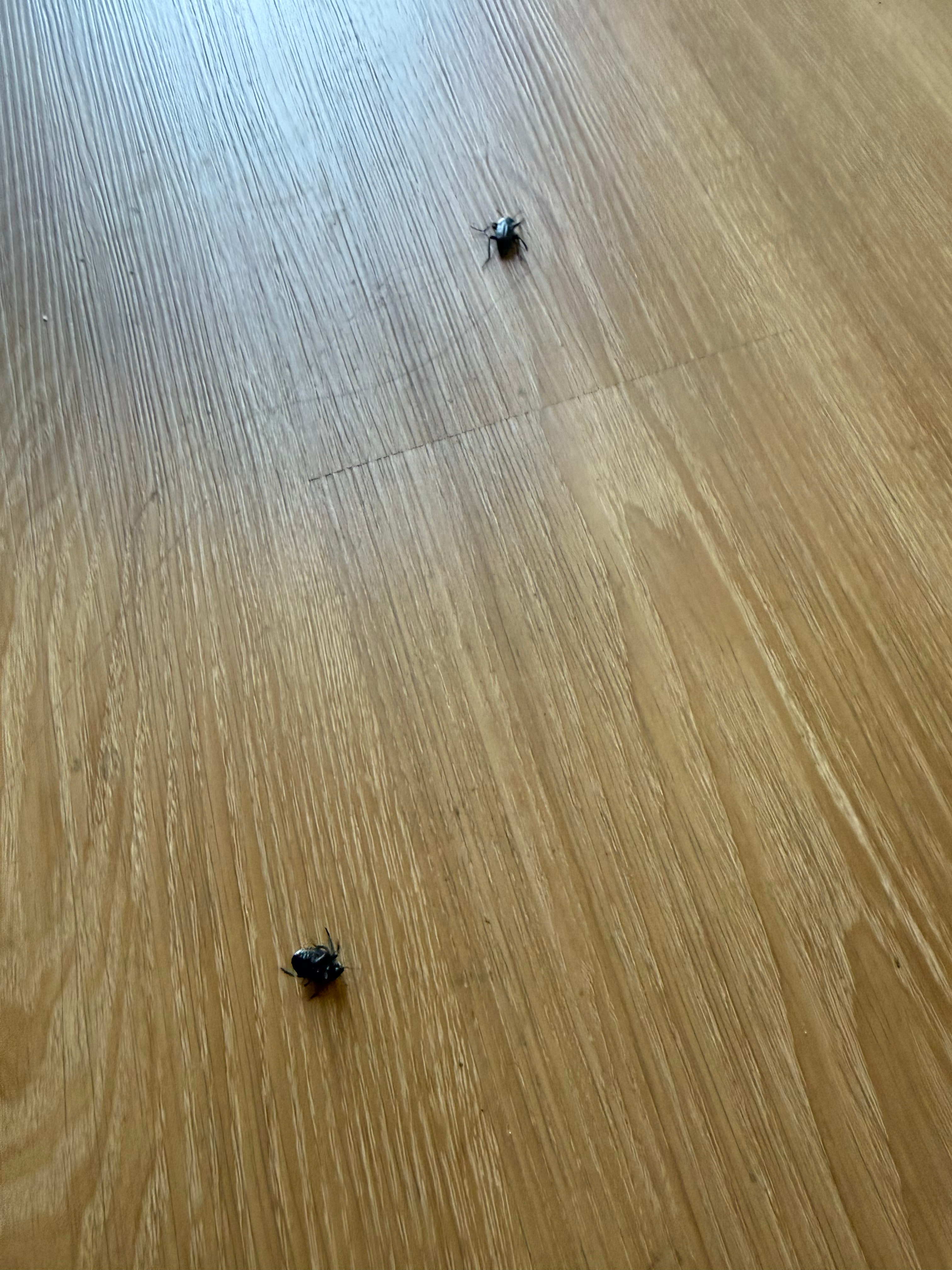 昨晚艾文去夜观我看他穿着短袖，把自己的外套给他让他穿上今早穿上那件外套一摸兜掏出