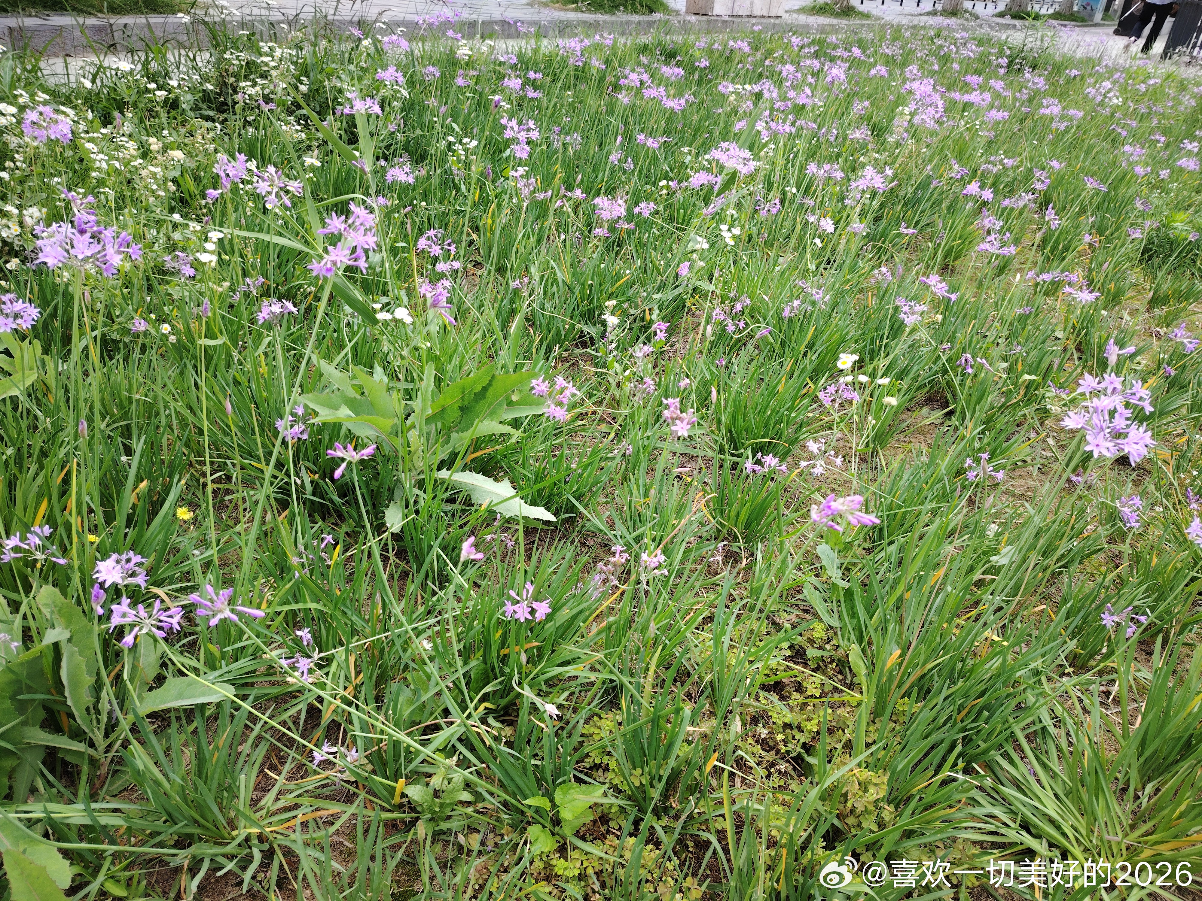 跑河六公里 