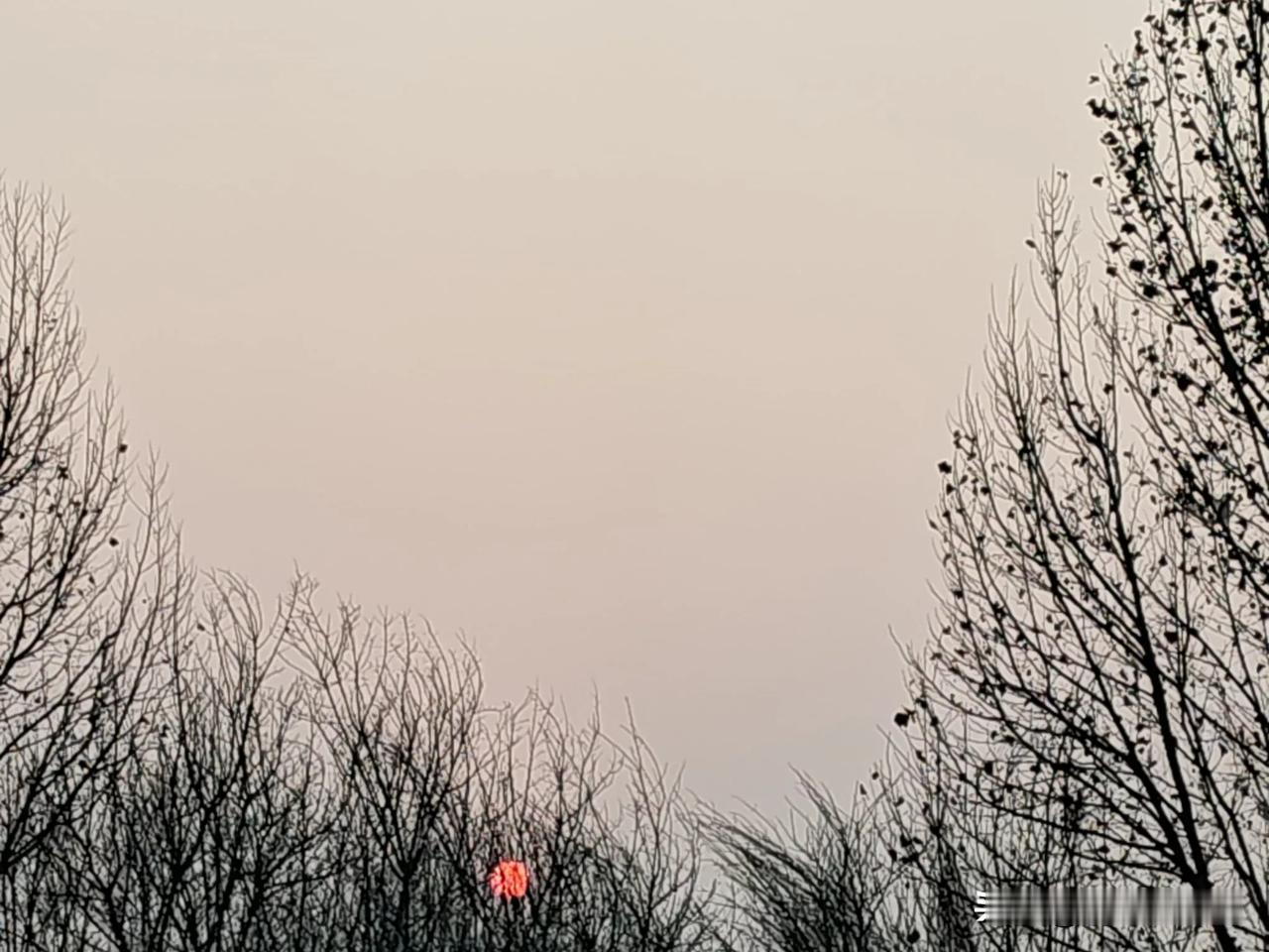 在变老路上的友友们，你们发现了吗，到最后，年龄不是问题，能不能自理，才是最大的体