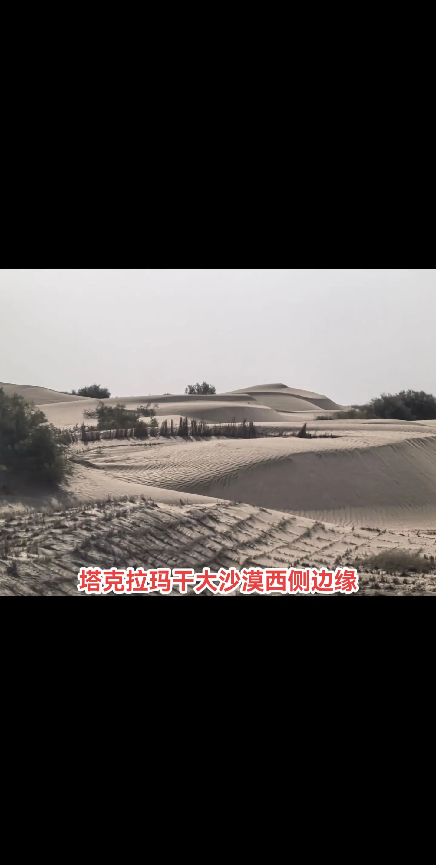 大沙漠。塔克拉玛干沙漠西部（莎车县）