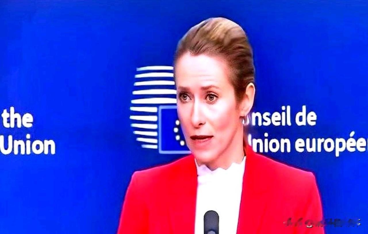 欧盟外交负责人卡娅·卡拉斯说出“过去一百年里，没有任何国家主动攻击过俄罗斯”这样