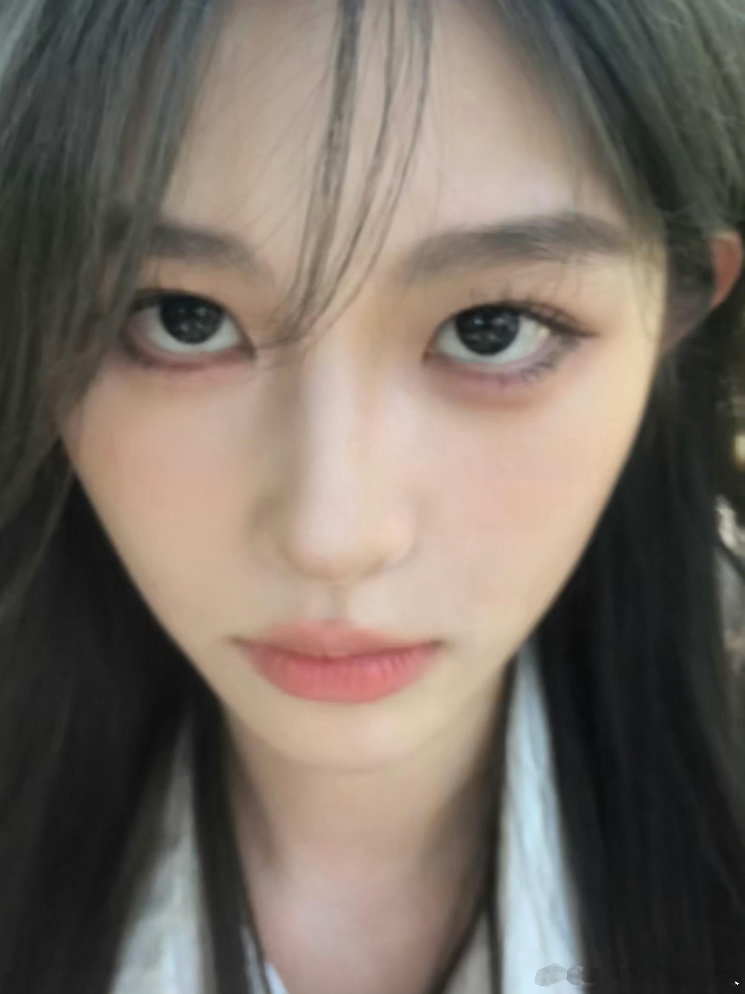 完全小狗怼脸萌 