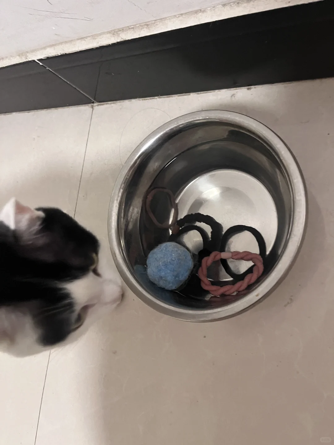 奶牛猫自制皮筋汤邀请大家来品尝