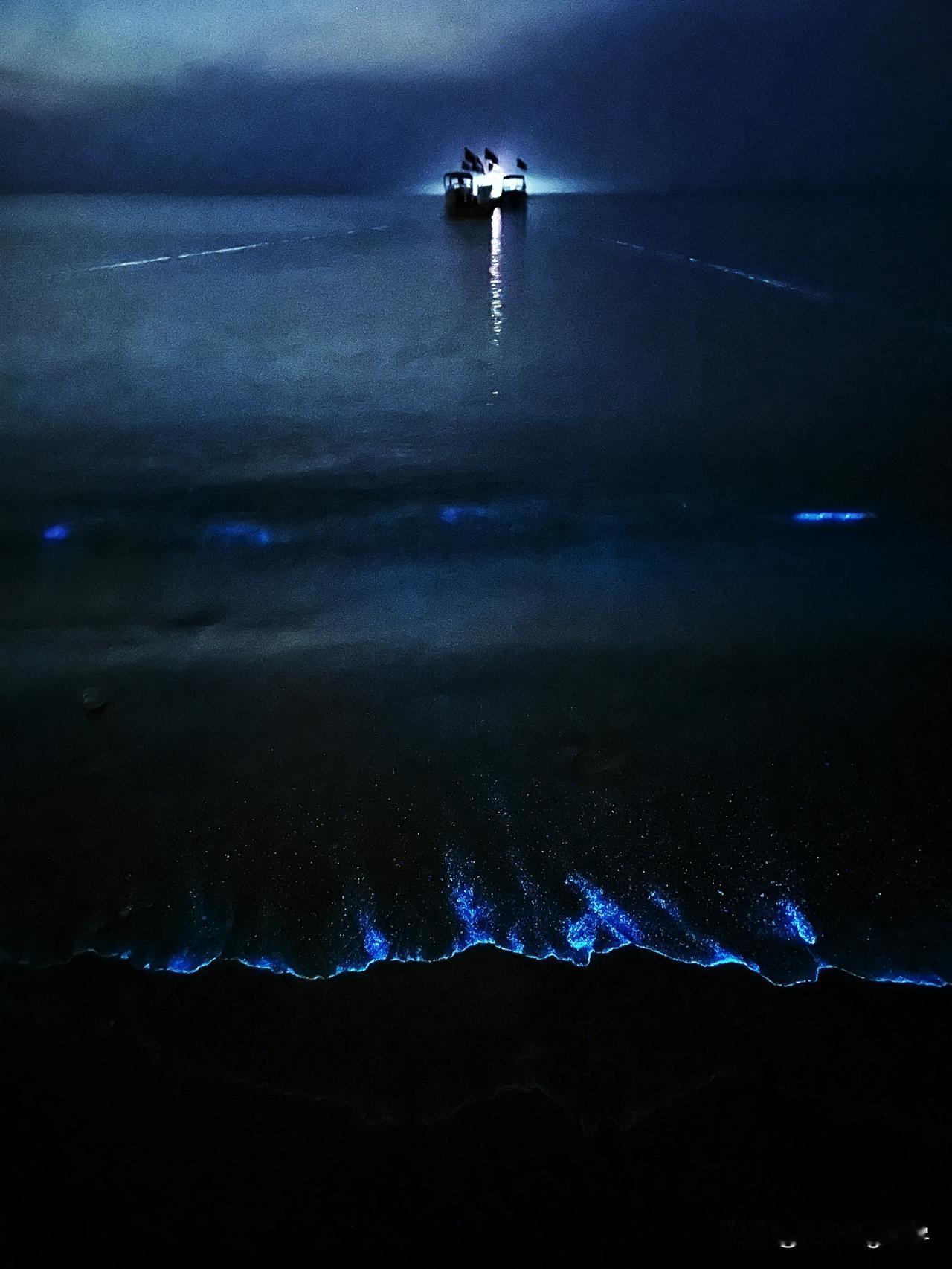 平潭岛蓝眼泪，总算看到了[流泪]