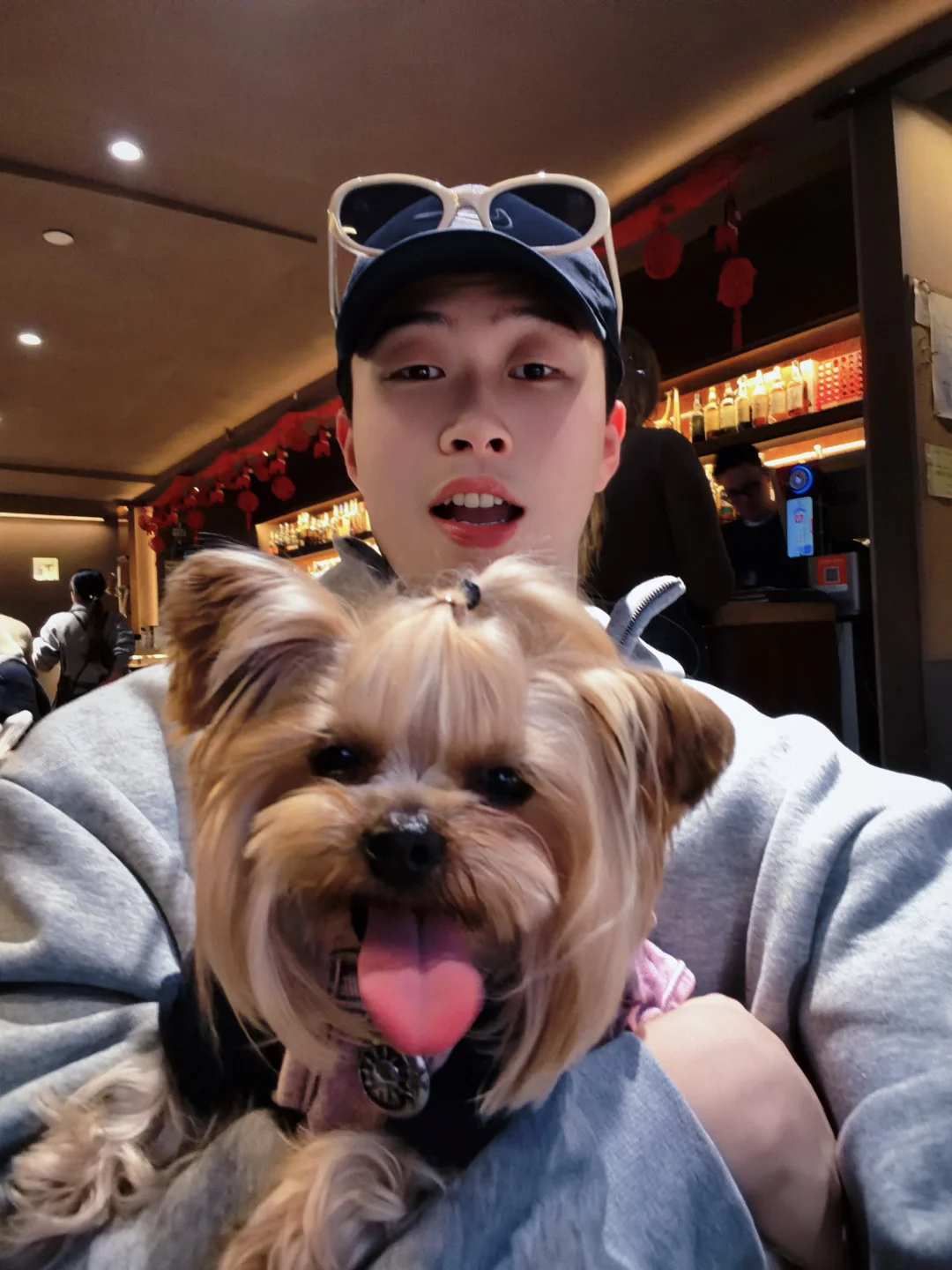 两个单身🐶