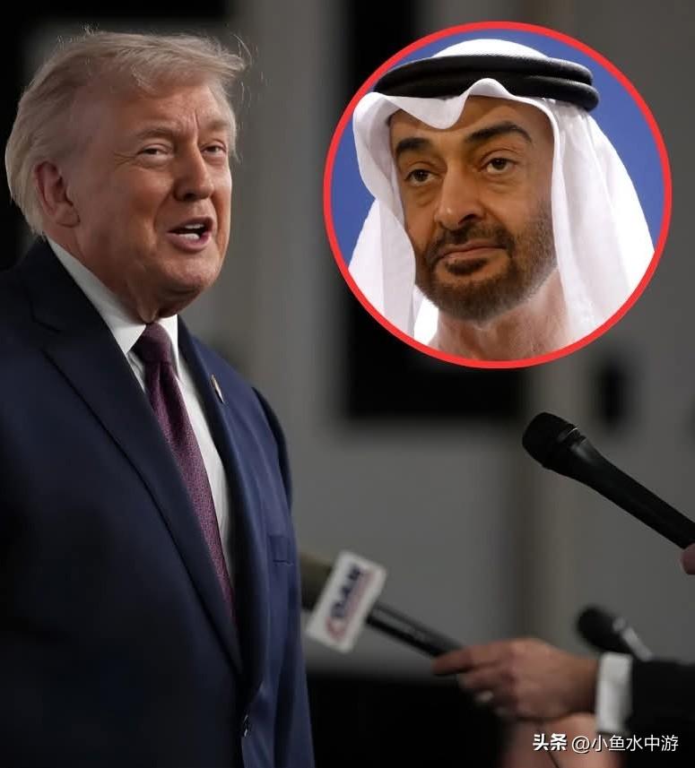 唐纳德·特朗普否认知晓阿布扎比王室关联公司对其家族加密货币企业的巨额投资
 
美