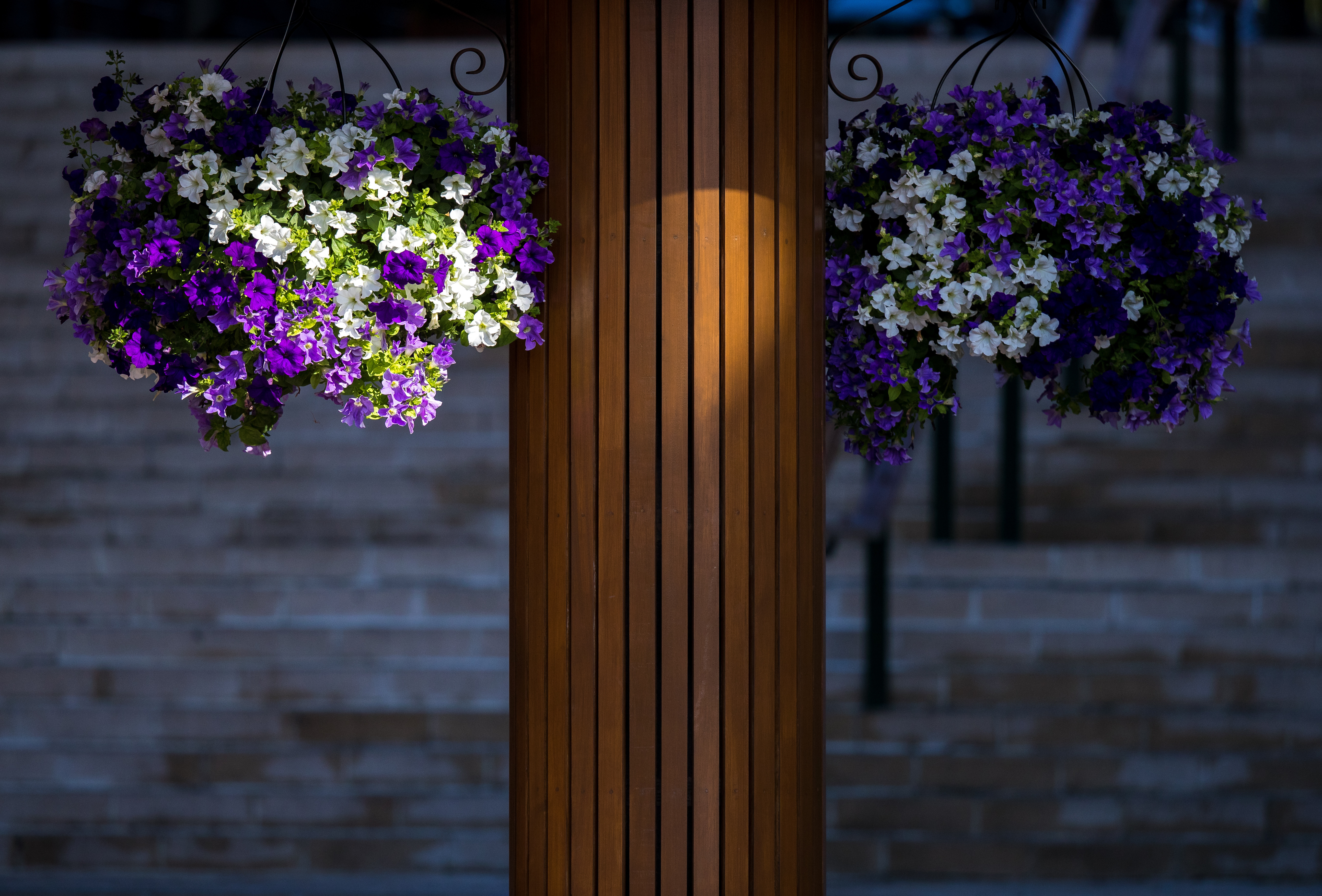 每一朵花开都是春日的来信追求卓越春分