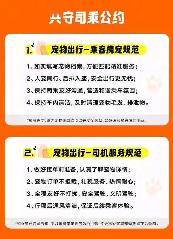 如果尿车上了，怎么及时清理？