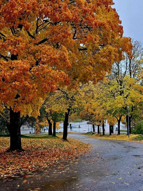 掏心窝子说，想快速消耗掉一个体制内女性的所有精气神，有个“好办法”——劝她去当办