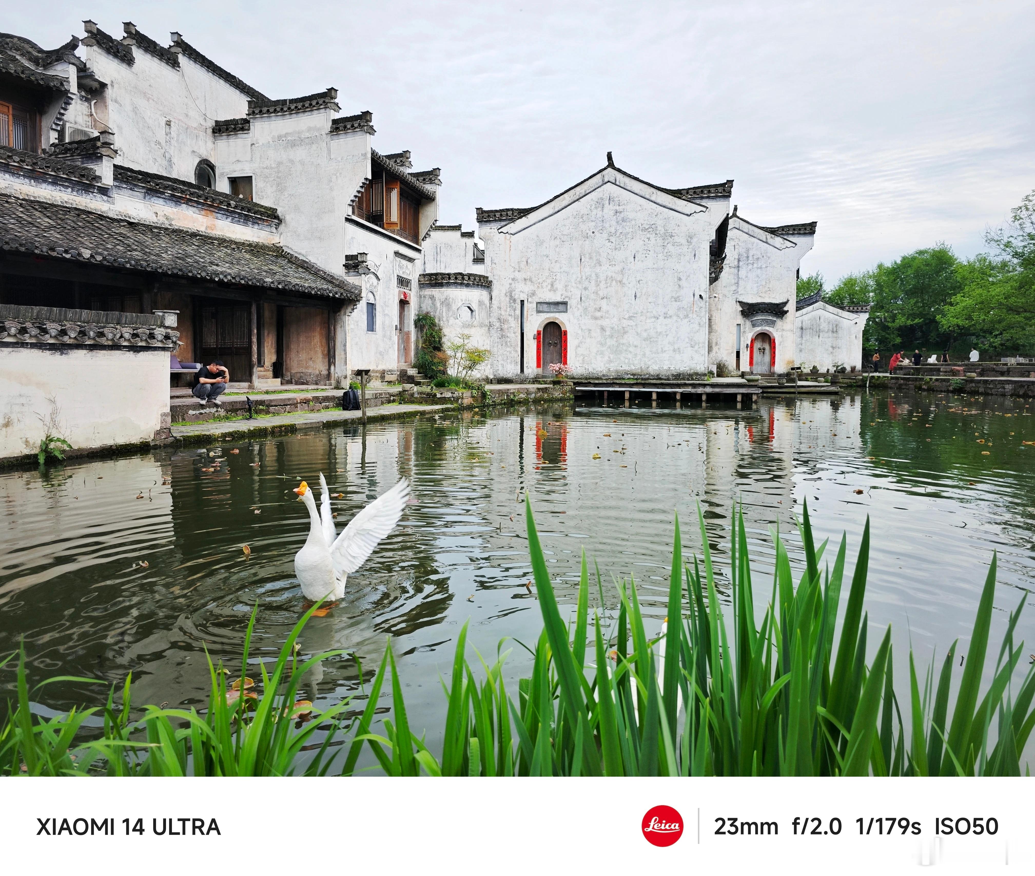 #每天早起打卡#早上好，回京[心] ​​​