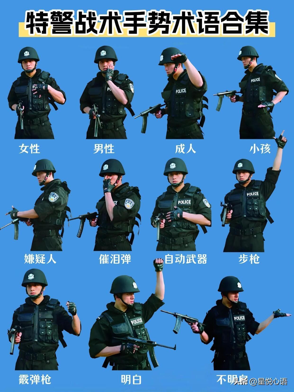 特警战术手势太酷了！
看警匪片总被这无声沟通惊艳。
执行任务时无需言语，
一个手