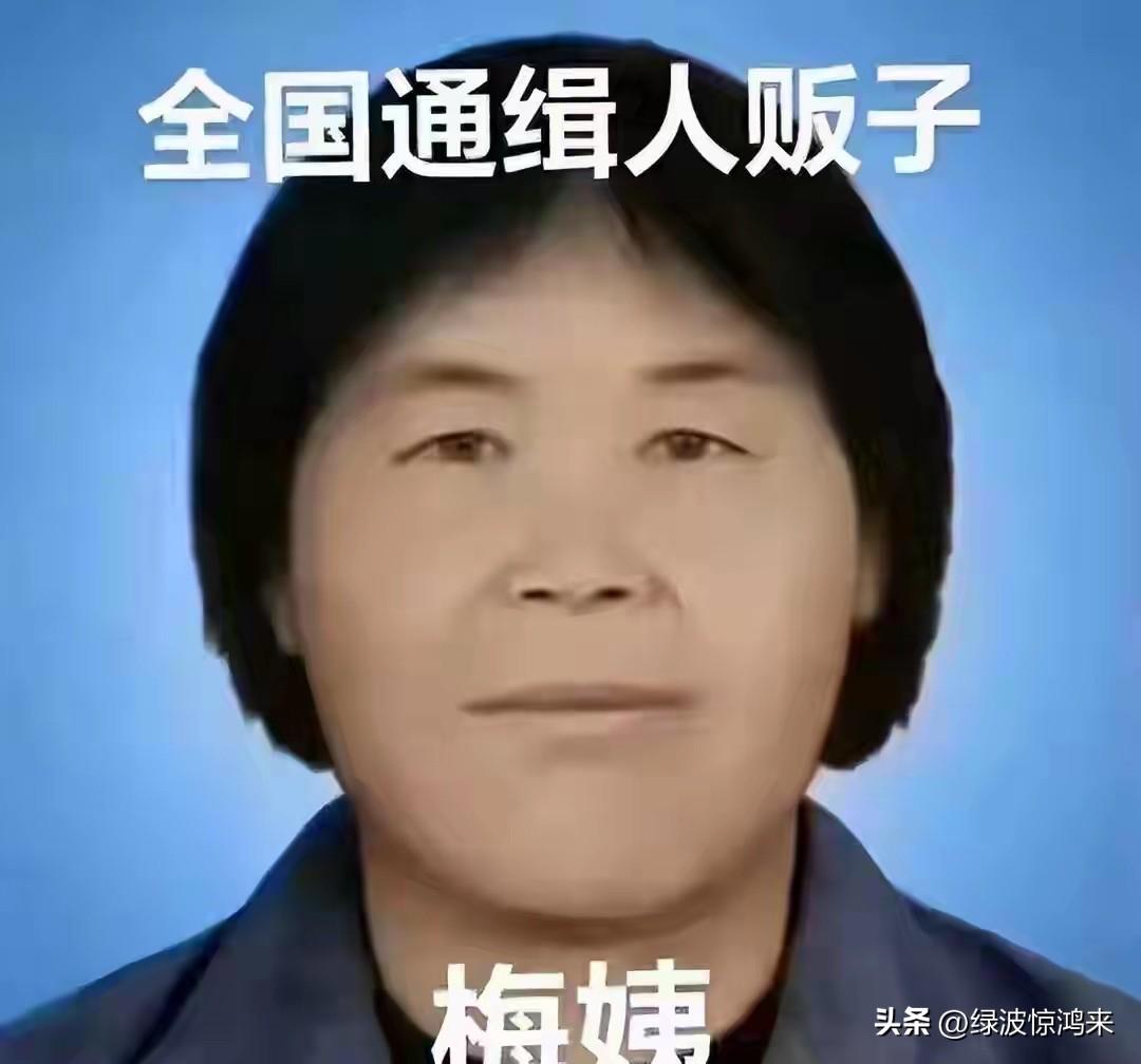果然坏人是不会把坏显在脸上的！

绰号“梅姨”，多亲切的称呼，而且人也长得和善，