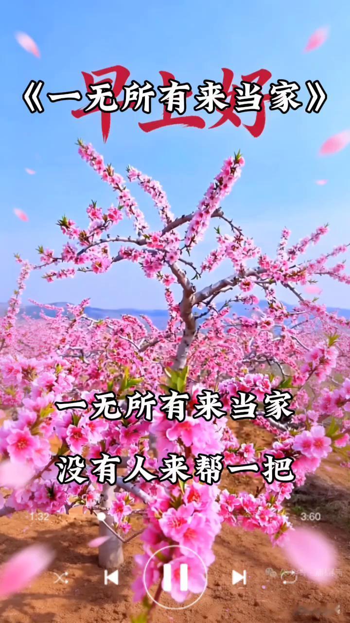 《一无所有来当家》。
一无所有来当家，没有人来帮一把。